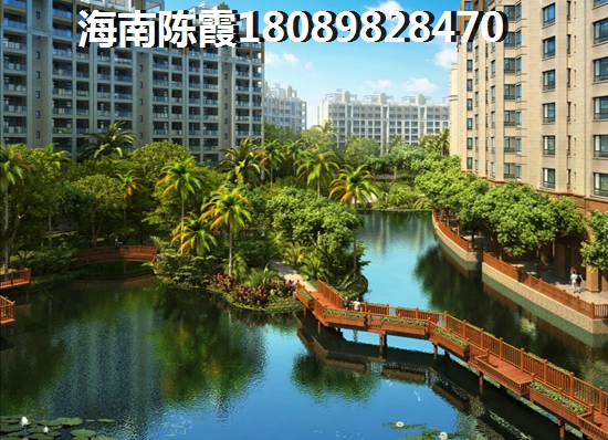 海口南北农产品物流新城房子生纸的原因分析！