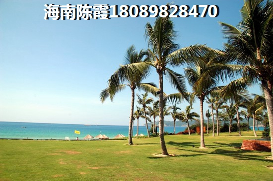 海口房价2025公寓房价（申海花苑房价2025在涨）