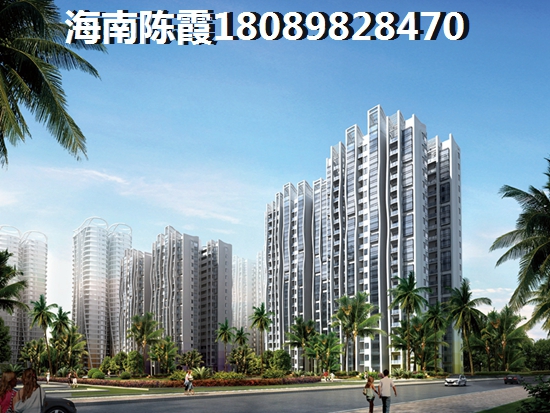 “候鸟”为何看好伟业智青春的未来？