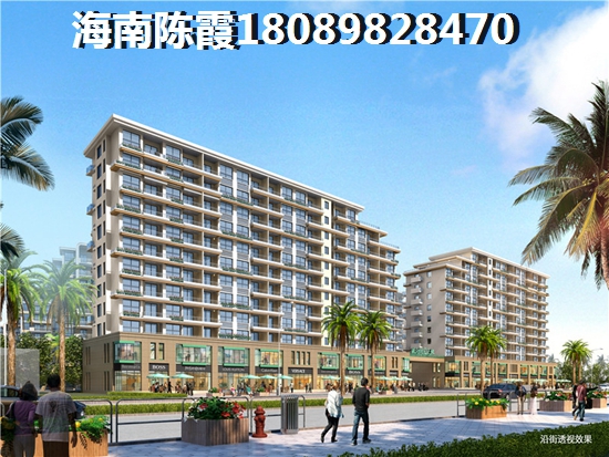 海南城投长信上东城房子纸得买吗？价格涨了吗？