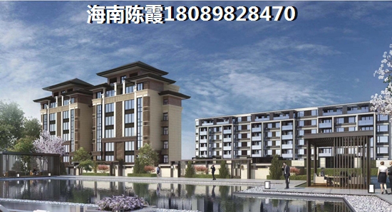 为什么海口今后发展前景会很高