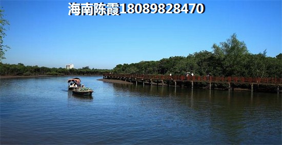 2025海口市房价还能涨多少？HFC(翰德金融中心)跟隆德清泉上城哪个房价会跌？