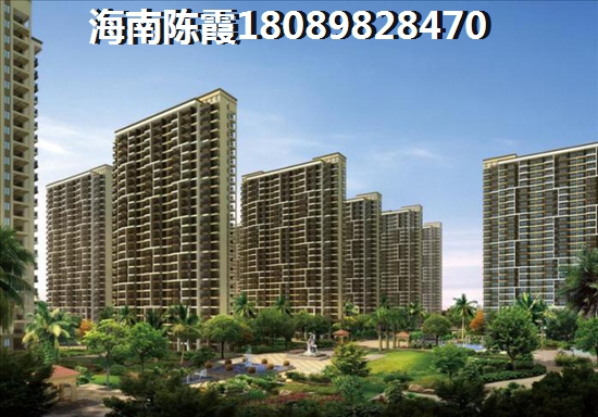 琥珀悠澜醉新价格是多少？