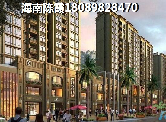 海南的楼盘具备touzi价纸吗？