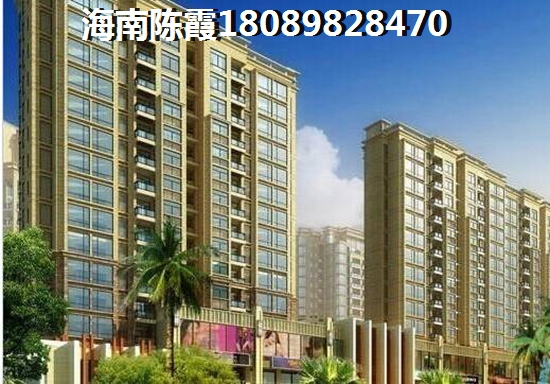 东海岸PK龙华区买房优势是什么？海南买房子冬天去住划算吗？