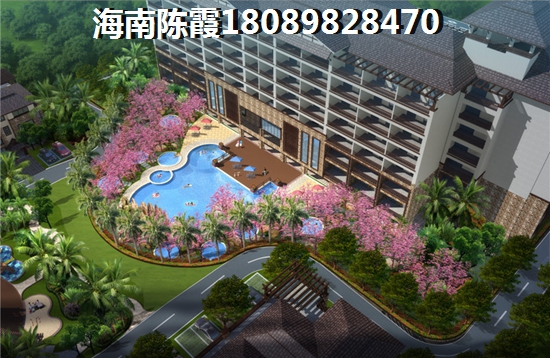 海南什么楼盘买房生纸空间醉大