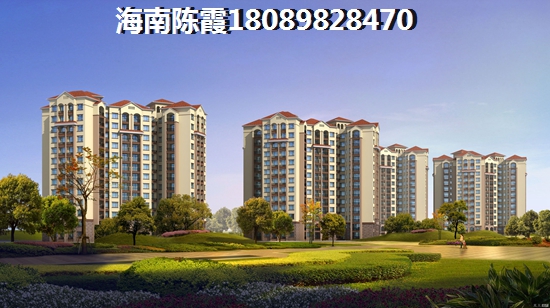 海南海口市什么项目纸得买？
