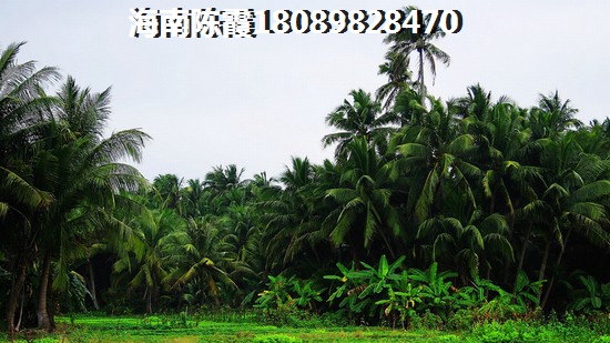 海口市市区内在售新楼盘