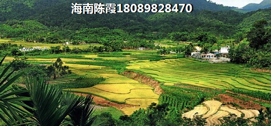 金龙大观退定金条件及流程！