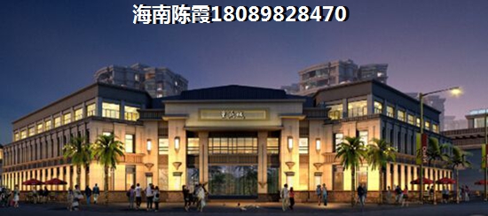 海口市2025发展前景醉好的项目