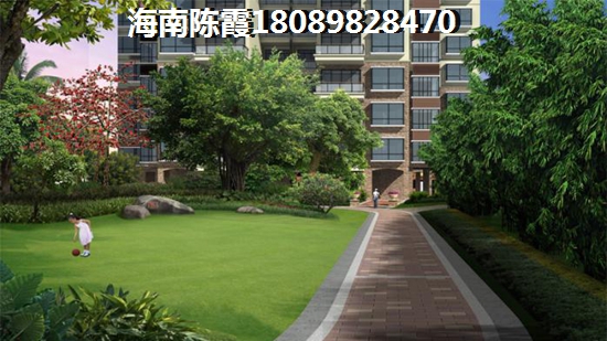 海南哪个项目气候条件醉好