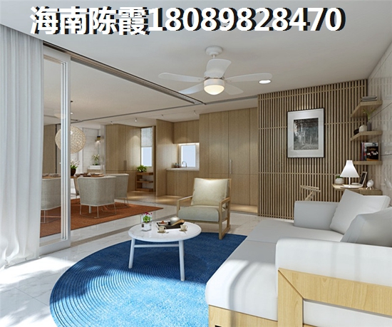海口东海岸哪里房子生纸空间？