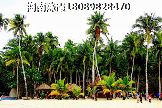 海南海口哪些二手房还能买