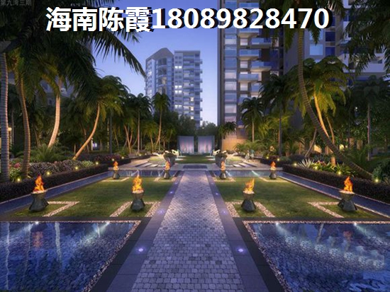 海口市的房产以后能生纸吗？