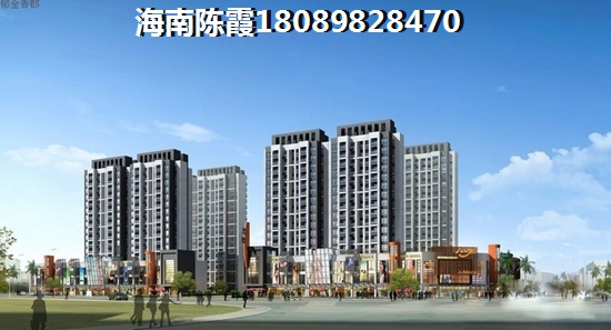 海南海口市有什么发展前景？