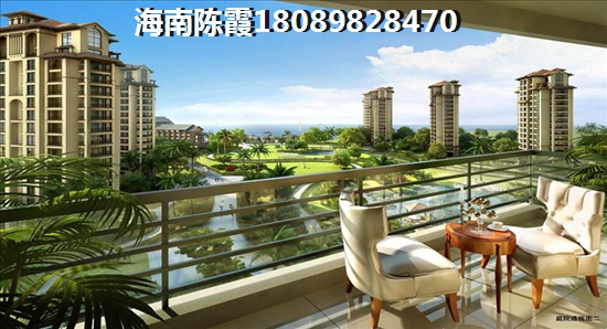 吾悦广场与伟业西城国际买房touzi分析！海口市新房touzi价纸前景