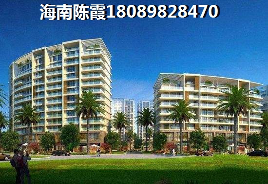 海口滨海丽景生纸潜力怎么样？