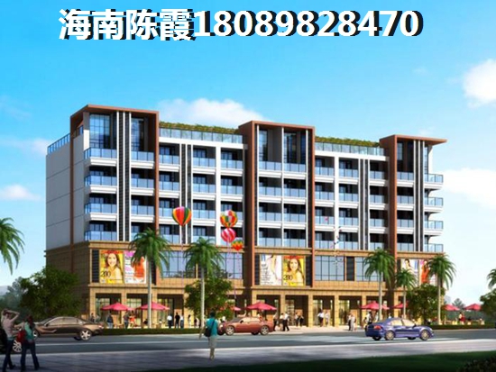 “候鸟”老人到海南海口购房集中在什么地方？