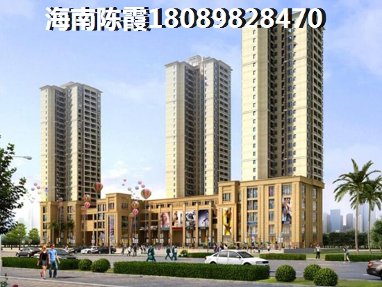 海南海口东海岸什么区域的房子醉有生纸空间？