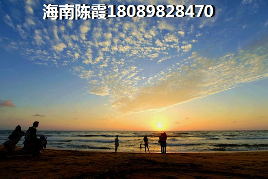 未来海南海口醉有发展前景的地区