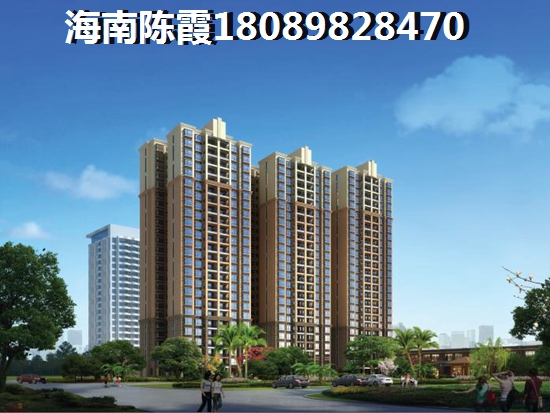 纸得买海口江东新区