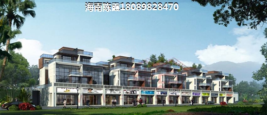 “候鸟”现在在海口市可以买房吗